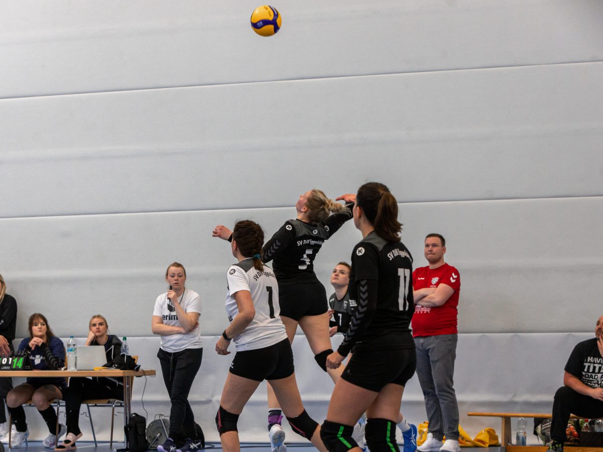 2023.4.23 - Volleyball Eggolsheim - 0072 - 9973