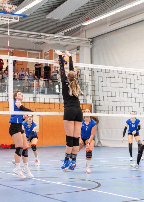 2023.4.23 - Volleyball Eggolsheim - 0077 - 9914