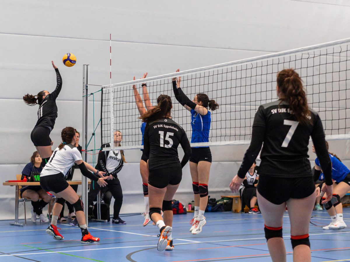 2023.4.23 - Volleyball Eggolsheim - 0095 - 9731