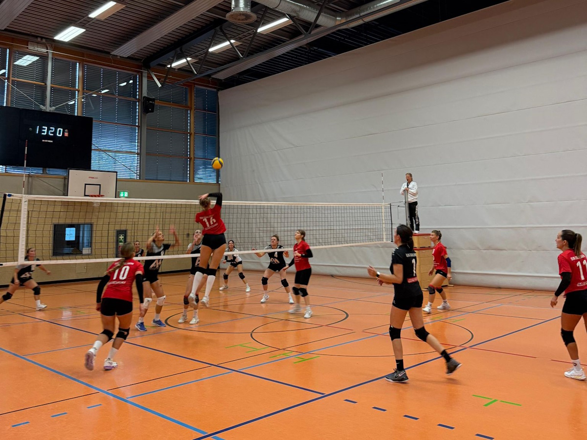 WhatsApp Image 2025-10-29 at 21.11.42(3)