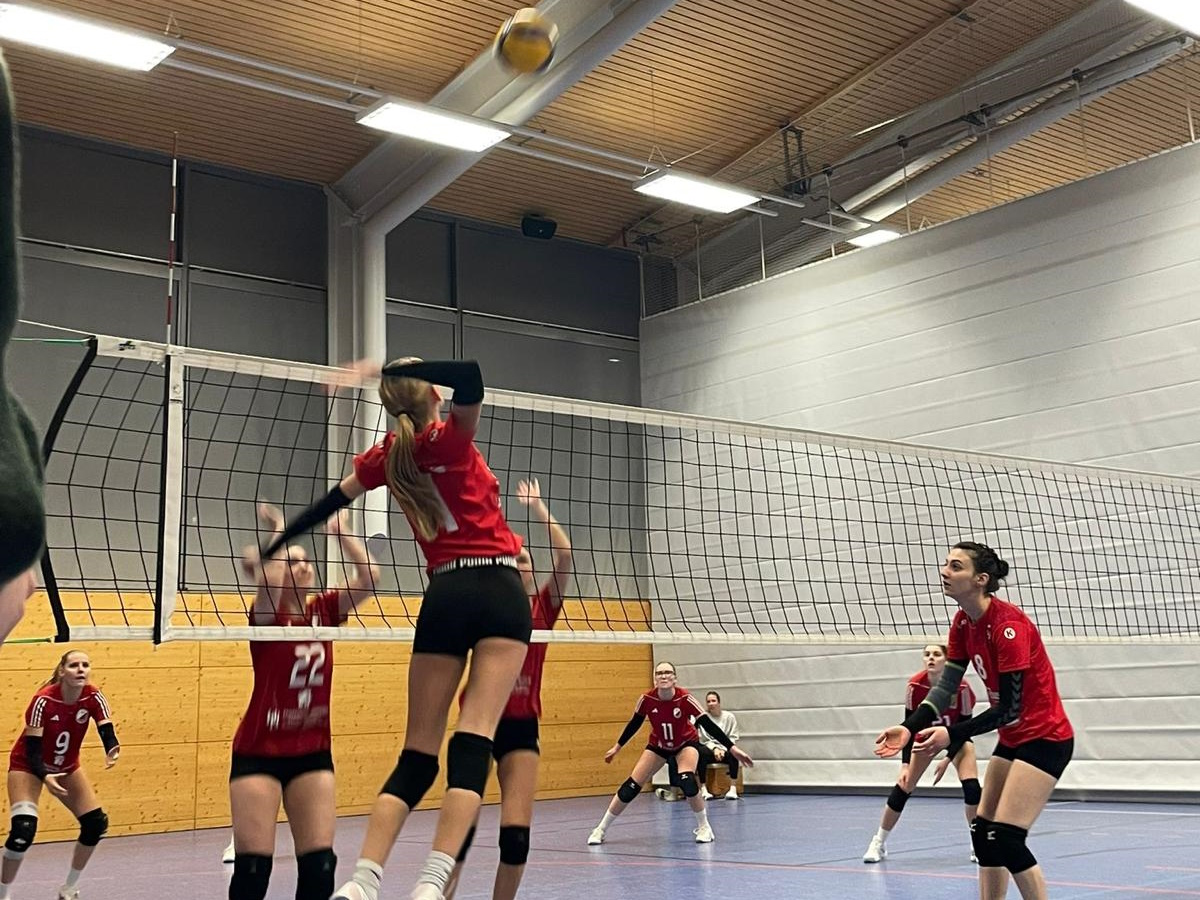 WhatsApp Image 2025-11-30 at 11.31.01