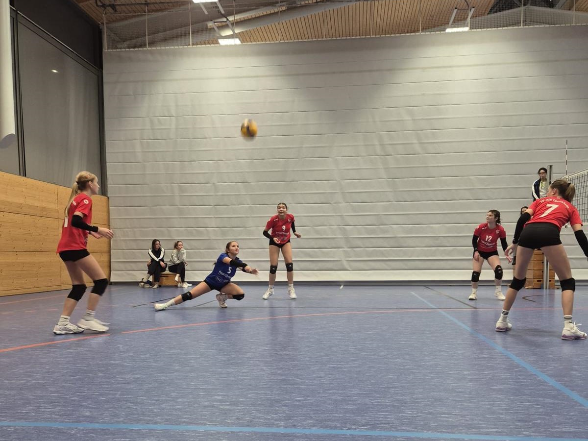 WhatsApp Image 2025-11-30 at 11.31.25