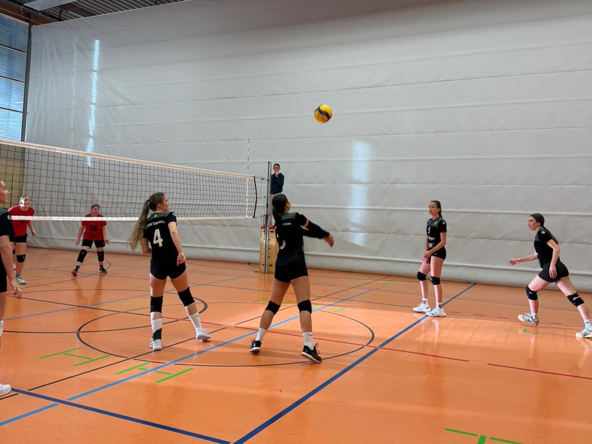 WhatsApp Image 2025-11-30 at 12.20.36(1)