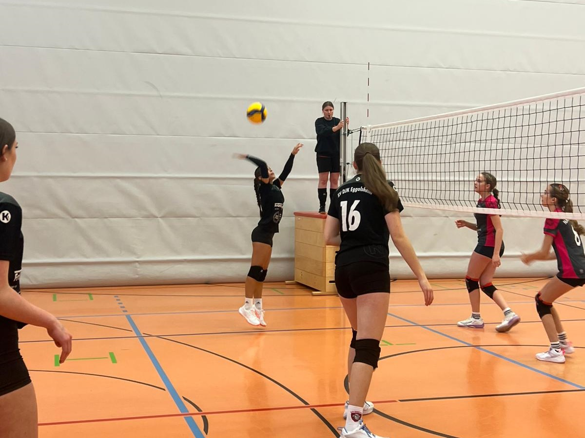 WhatsApp Image 2025-11-30 at 15.35.44