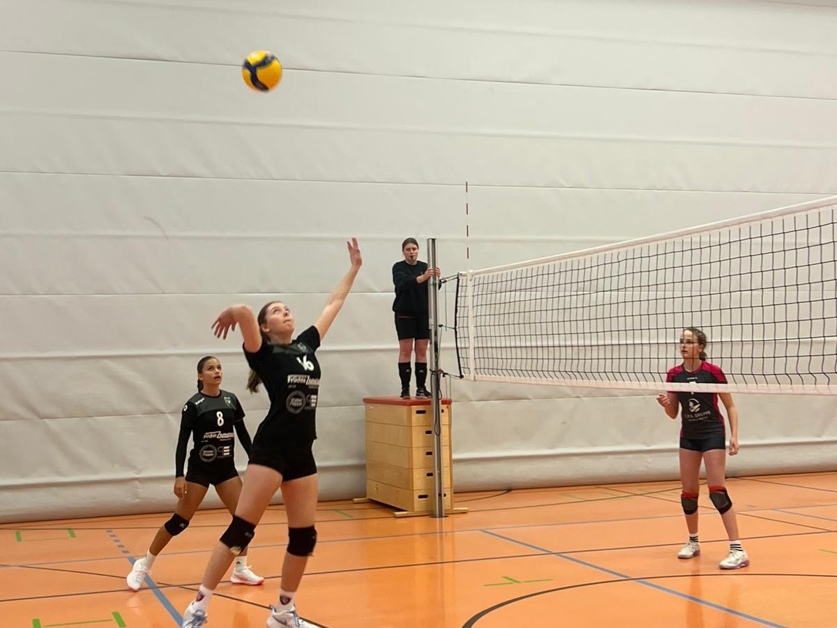 WhatsApp Image 2025-11-30 at 15.35.53