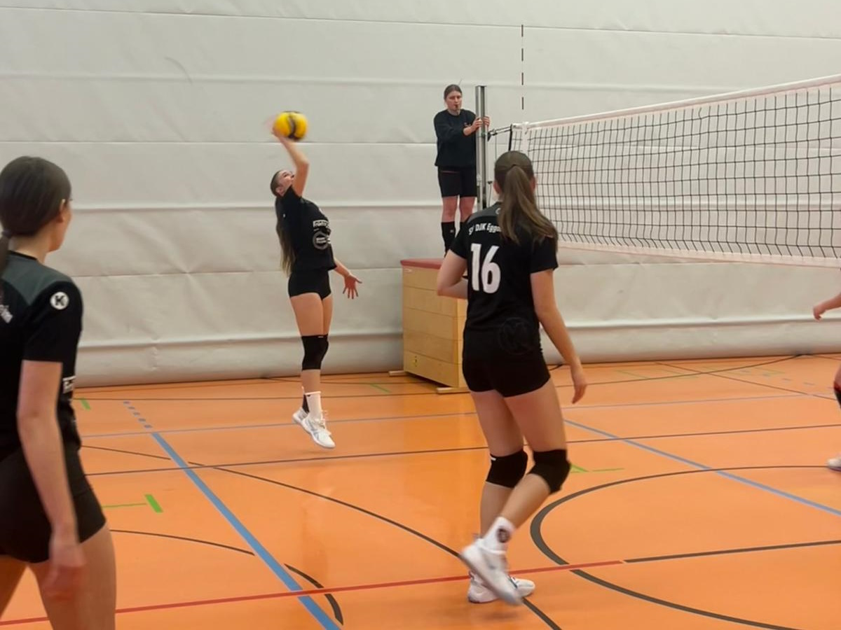 WhatsApp Image 2025-11-30 at 15.35.57