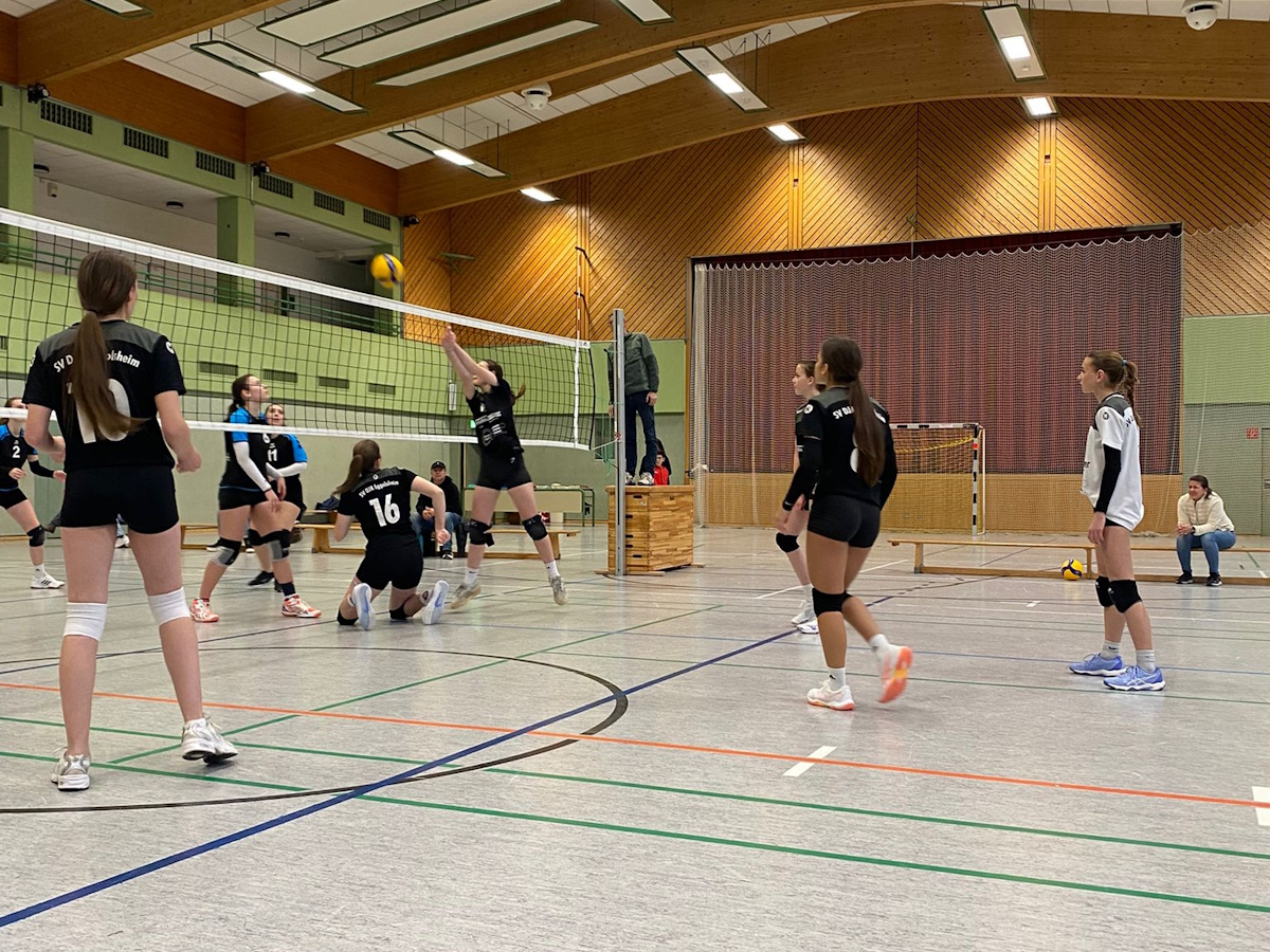 WhatsApp Image 2025-12-13 at 19.17.41