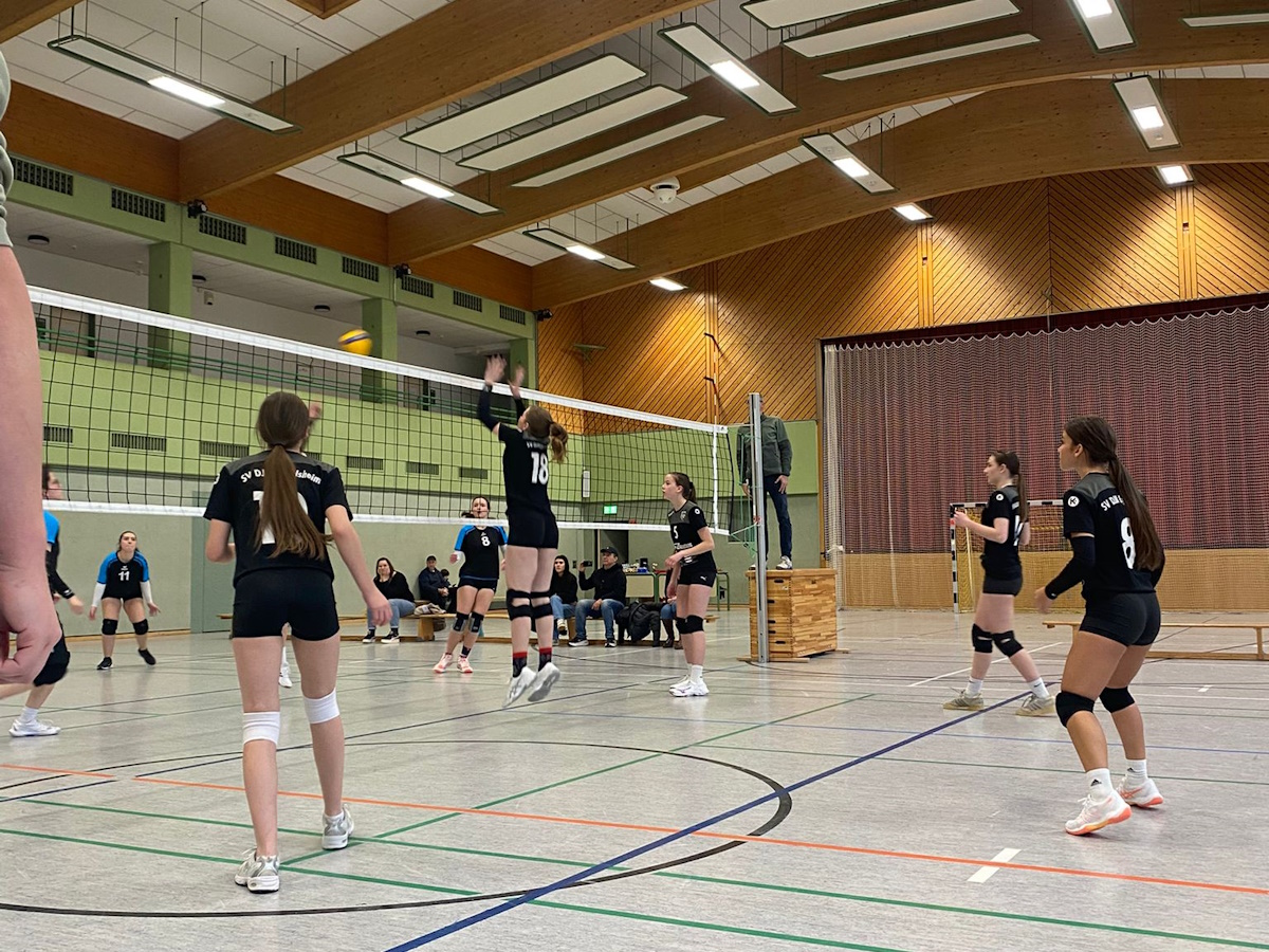 WhatsApp Image 2025-12-13 at 19.17.52