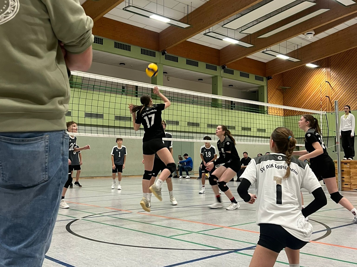 WhatsApp Image 2025-12-14 at 11.56.01(1)